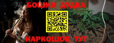 гидра Краснодар