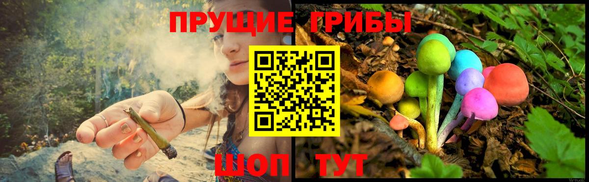 Галлюциногенные грибы Psilocybe  Вход с VPN  Коломна 